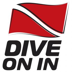 Dive On In logo
